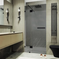 Душевая дверь с добором на петлях MaybahGlass 1950*1200 Стекло 8 мм Графит  профиль Черный MGD-499-6